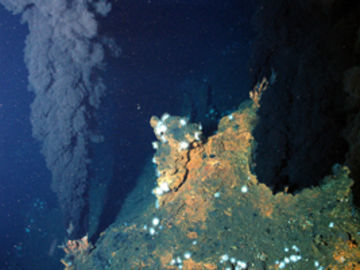 Deep sea environment